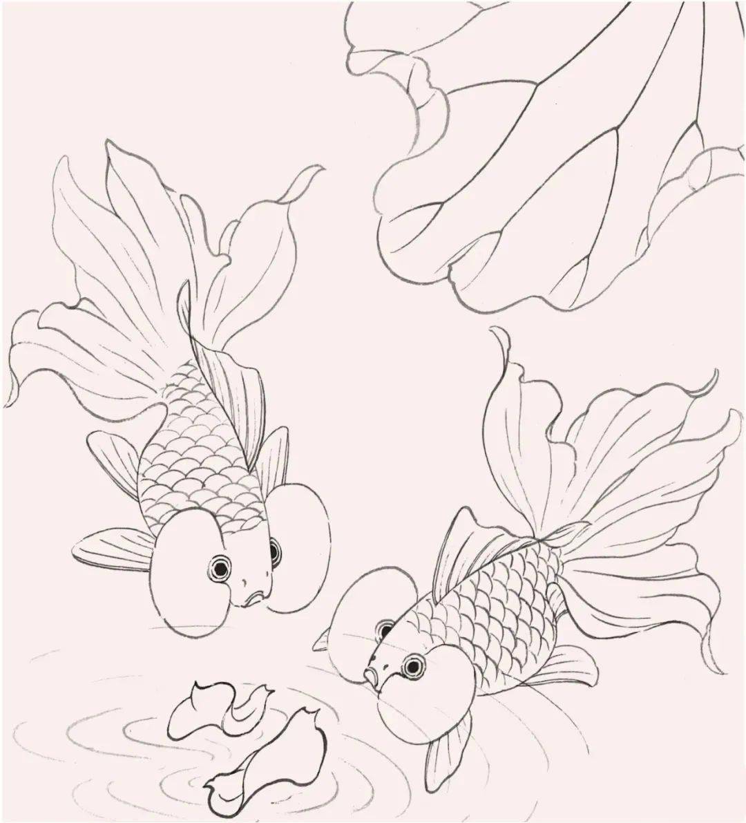 工笔金鱼画法步骤