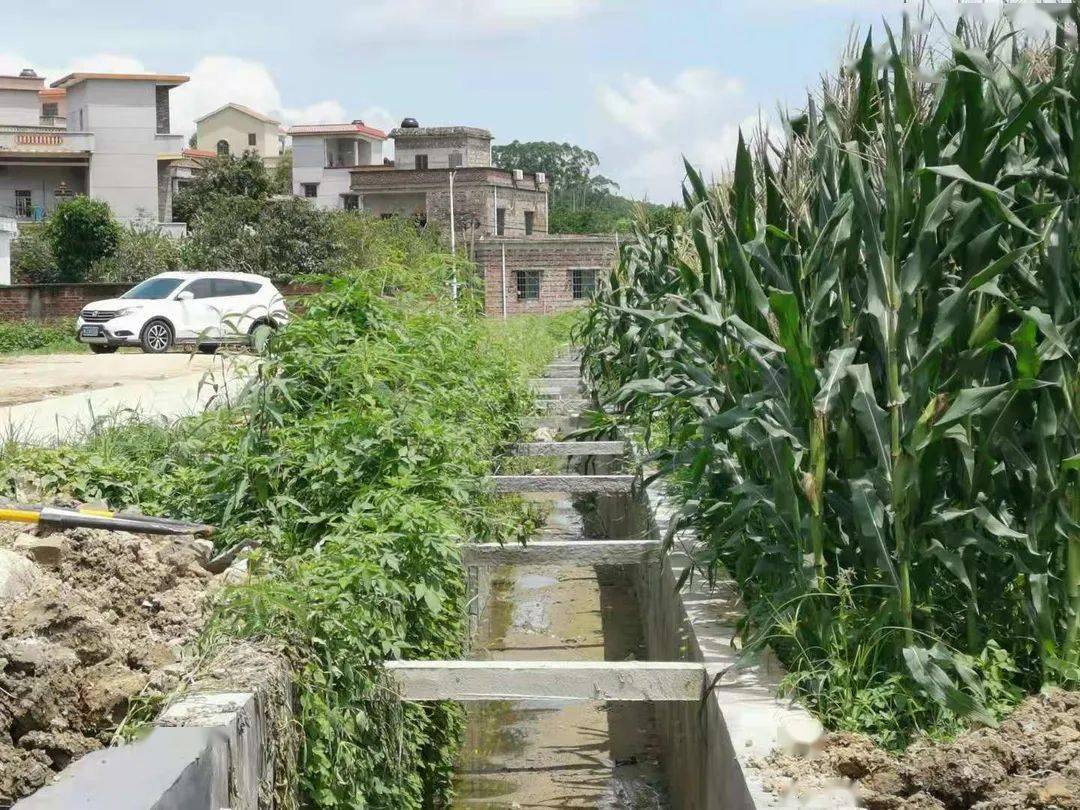 龙口镇青文村三面光工程完工啦村民纷纷点赞