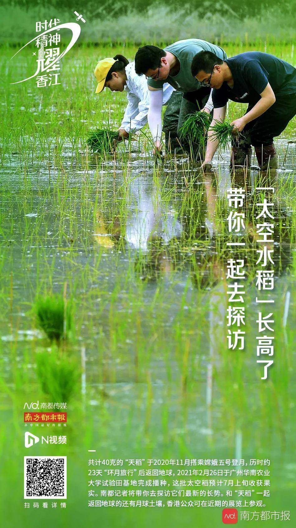 讲座|香港将迎“宇宙级天团”！