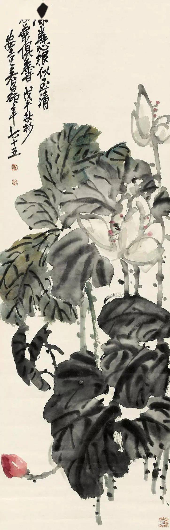 吴昌硕画荷,醉墨团团,别有风雅_荷花