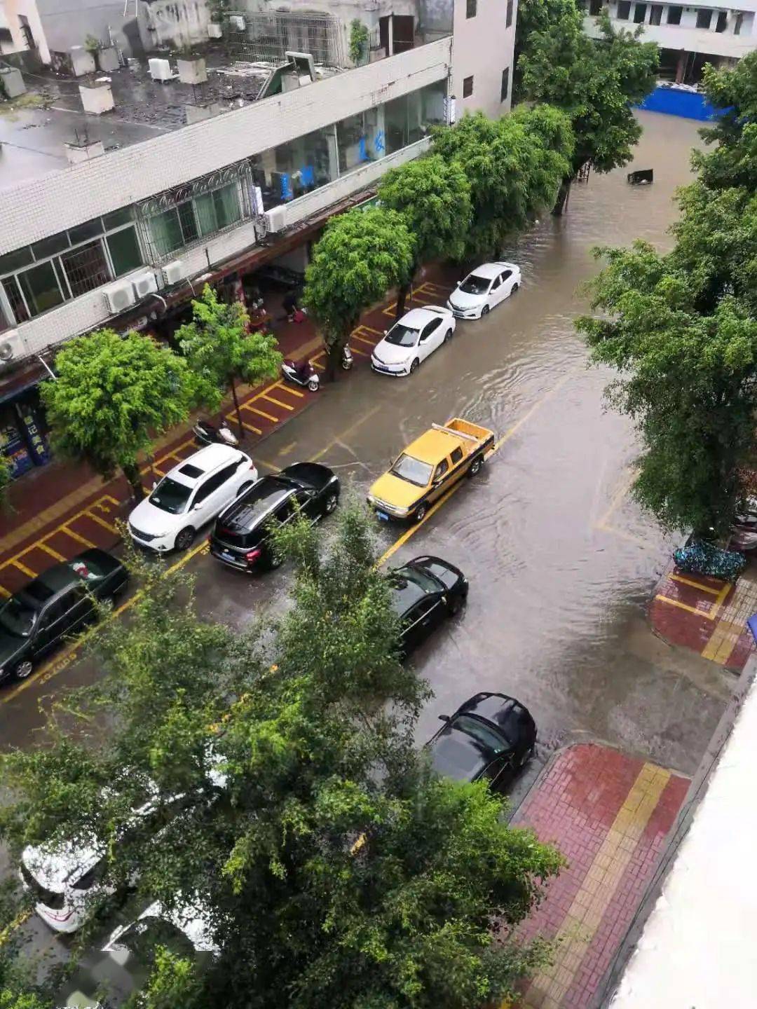 雷风大雨横扫罗定城区多个区域遭遇浸水现场情况
