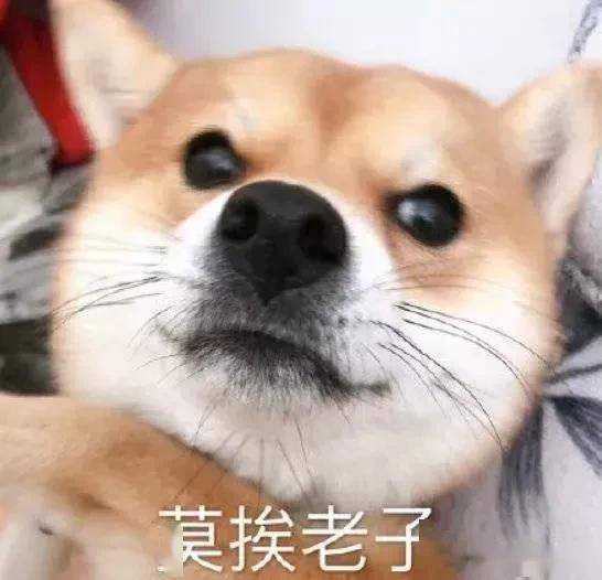 jpg滚开,莫挨老子,非烫人!