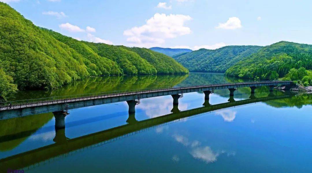 白桦之约第16届中国桦甸白桦节即将启幕文旅融合打造绿色发展新引擎