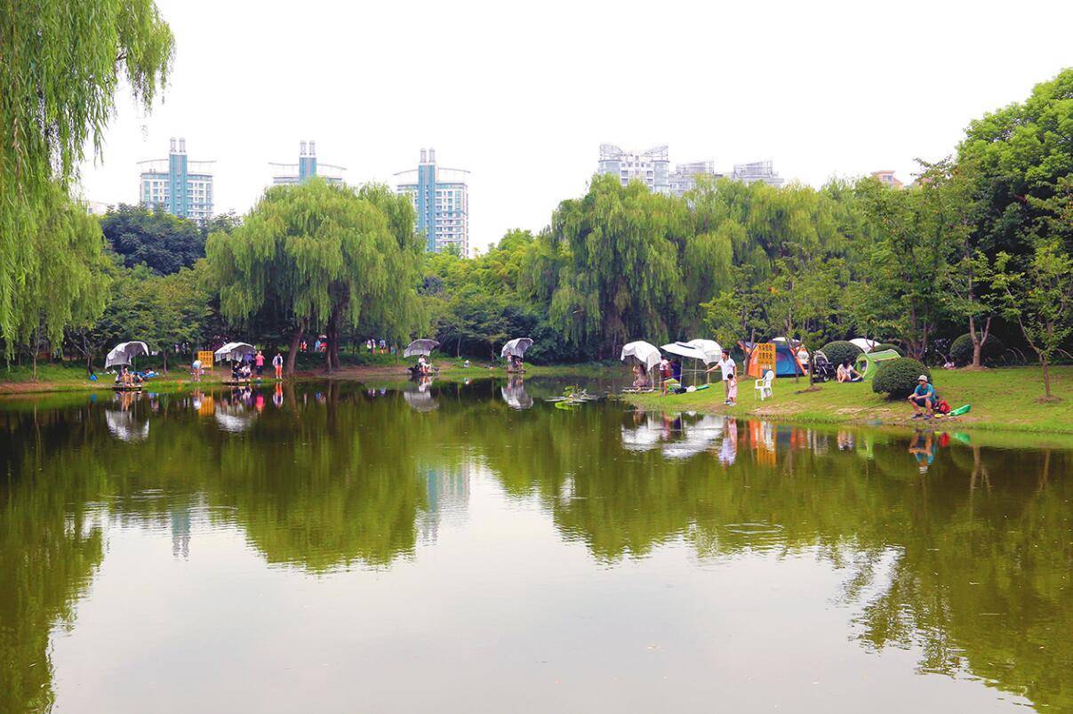 东方快评丨更多大型公园免费开放 让民众多些获得感 市民