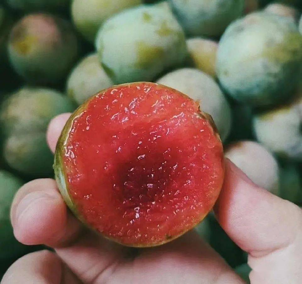 金塘李陆续上市了_李子