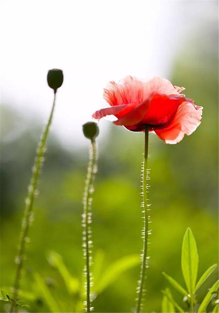 真正的快乐 是内在的 一个人