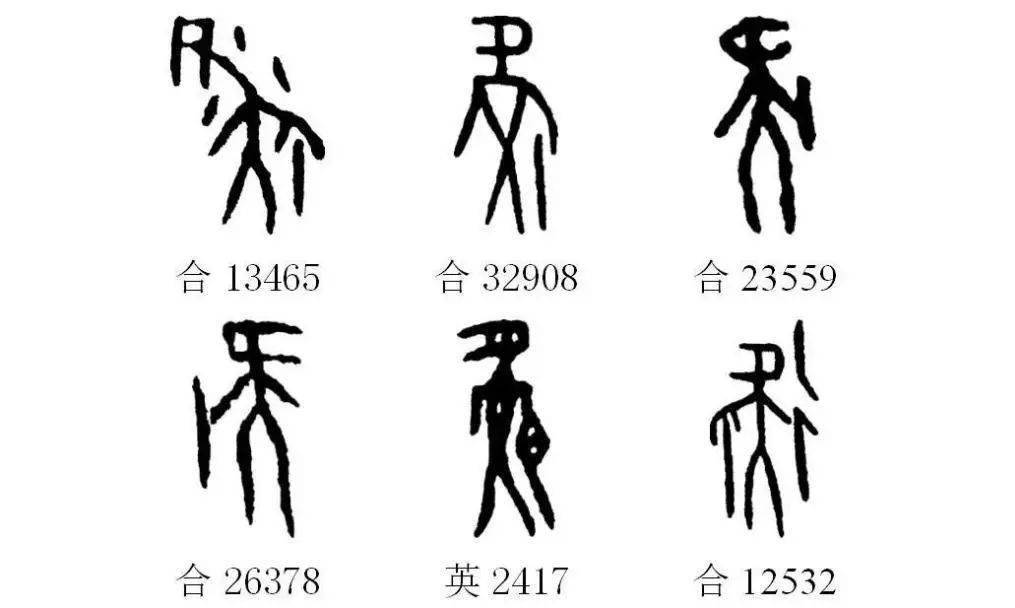 岐黃分享識讀甲骨文四