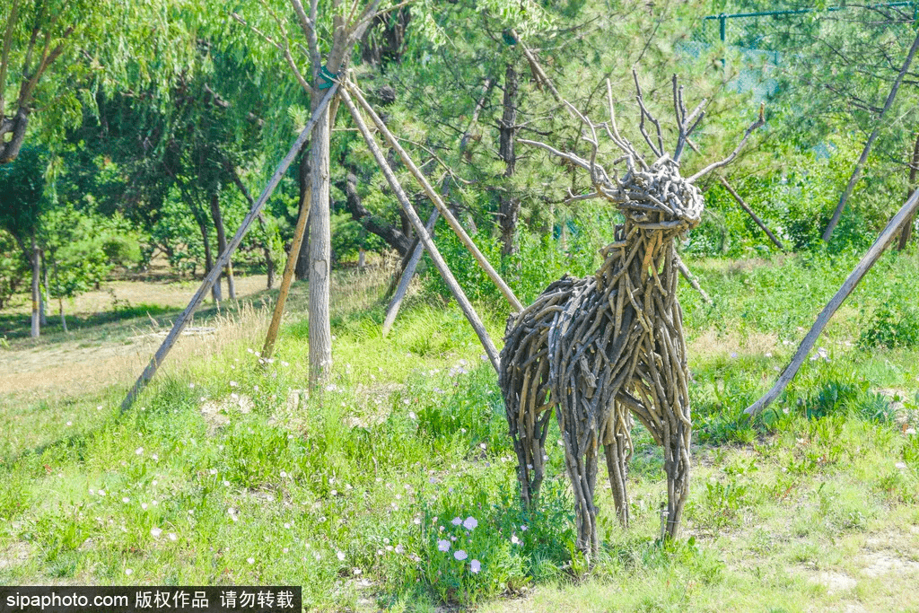鹿儿韭苔 5a795767828d4173bf639bbdd213d068.png