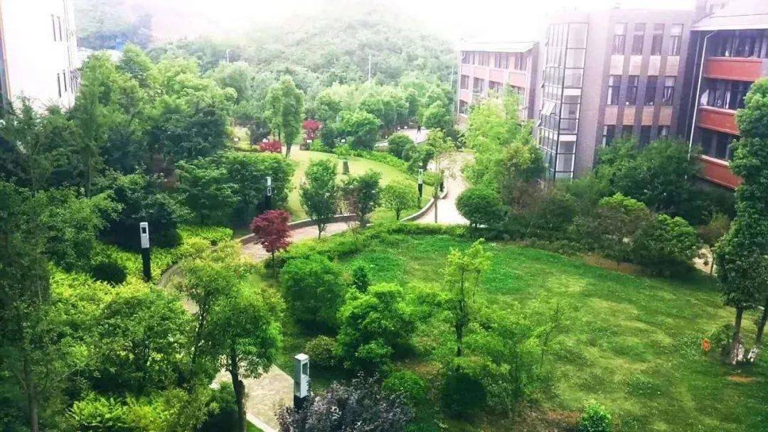 清镇城投和贵州广大城投公司共同注资的十二年一贯制学校