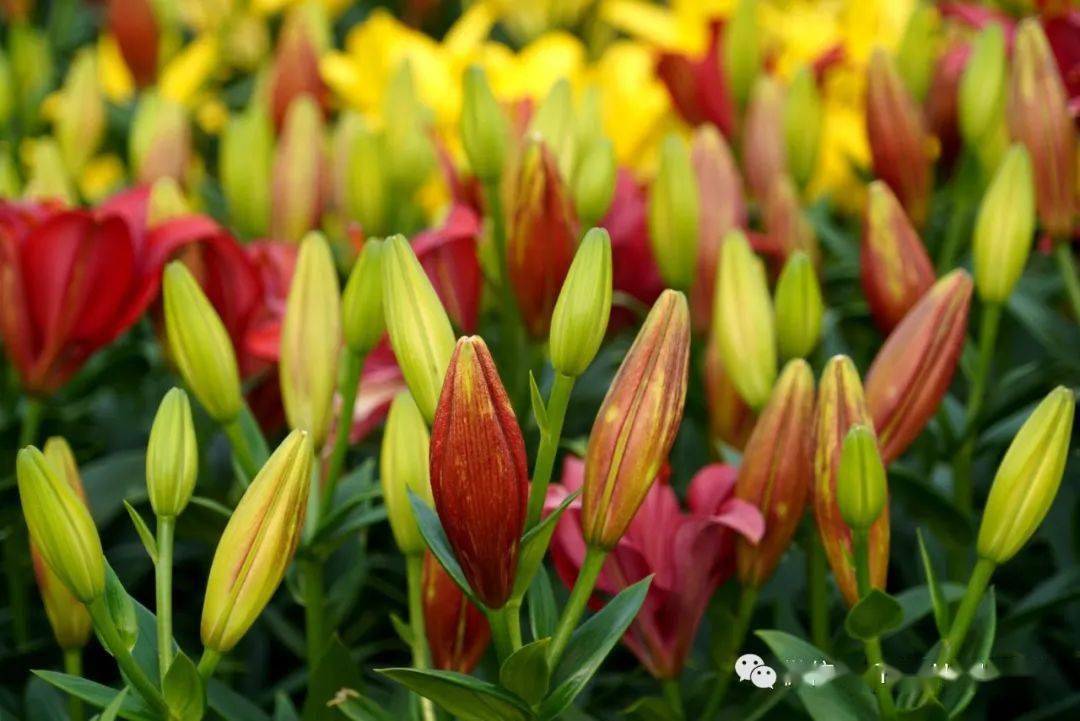 维特根斯坦 世界的意义必定在世界之外 生命