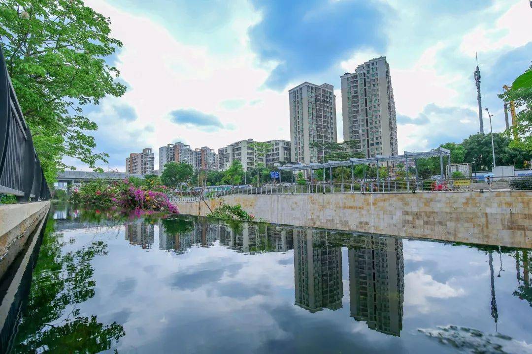 献礼建党百年│今起木棉湾告别涝涝涝