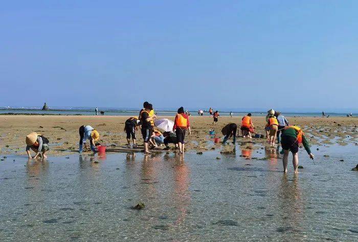 来这里做岛主亲手摸鱼抓蟹