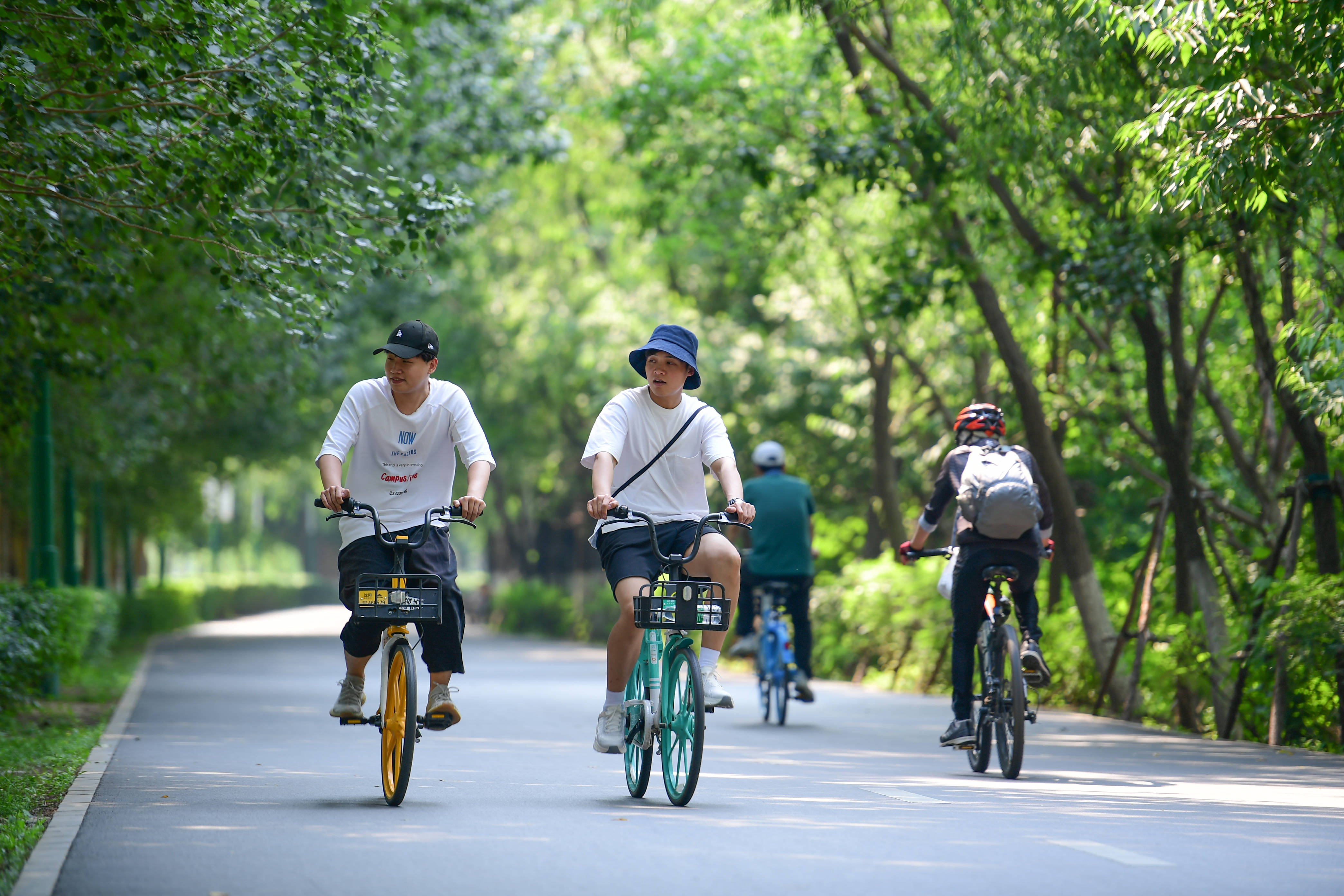 6月24日,市民在沈阳市和平体育公园骑单车