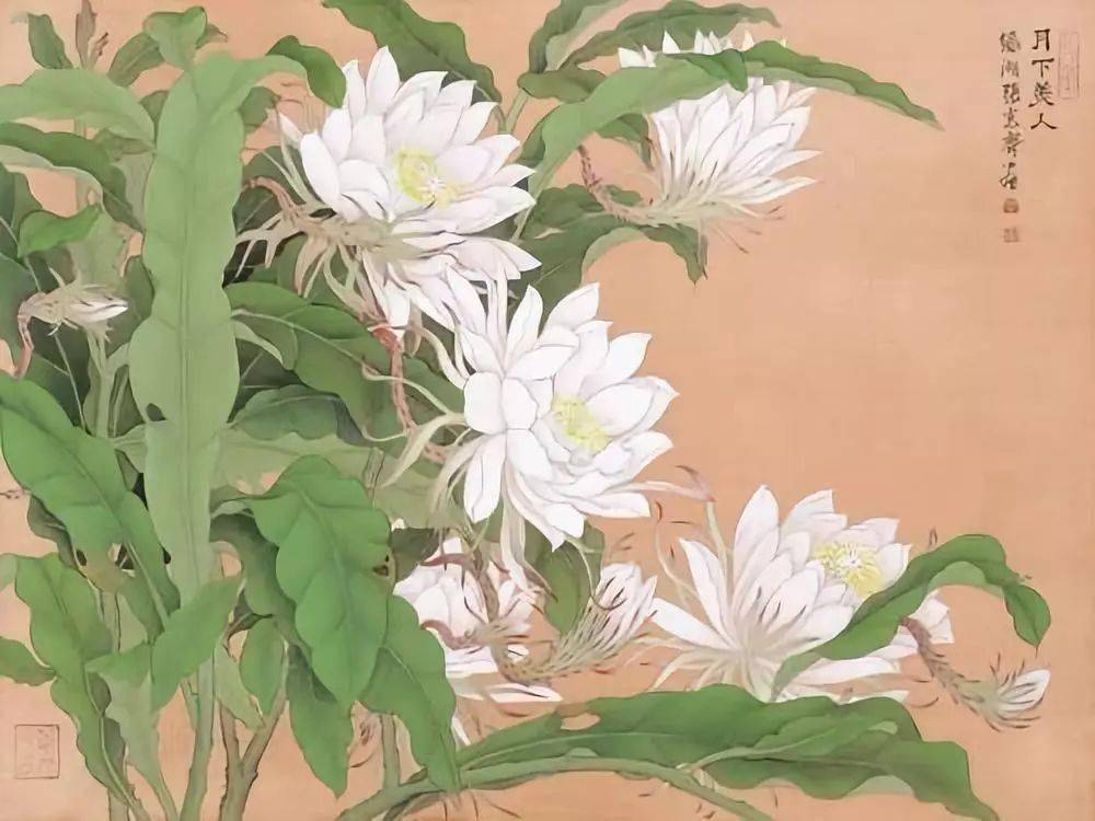 台湾大师张克齐笔下的花鸟妙趣横生笔笔生动