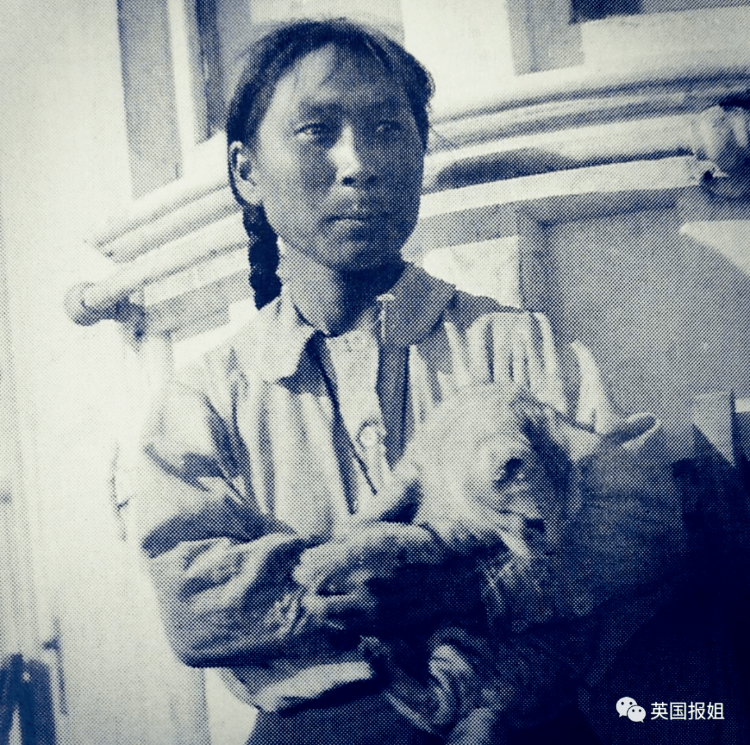 被抛弃北极荒岛两年,她自学打猎造房,成人类最传奇冒险家!