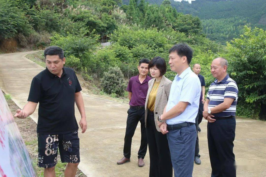 周末不停歇书记代县长下乡调研