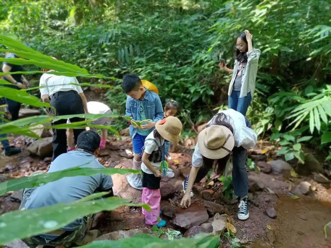 暑假亲子旅行|云南·西双版纳热带雨林6天5晚自然探索之旅