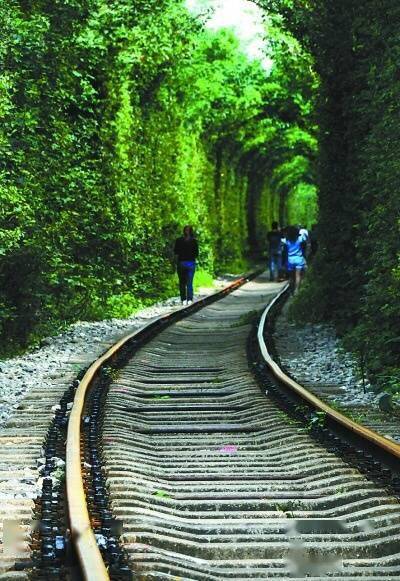 南京江宁的爱情隧道美爆了