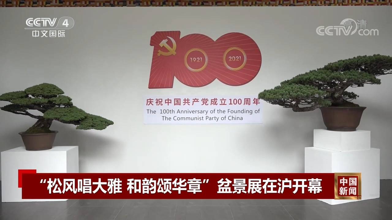松风唱大雅和韵颂华章 盆景展在沪开幕 文化 中华资讯在线