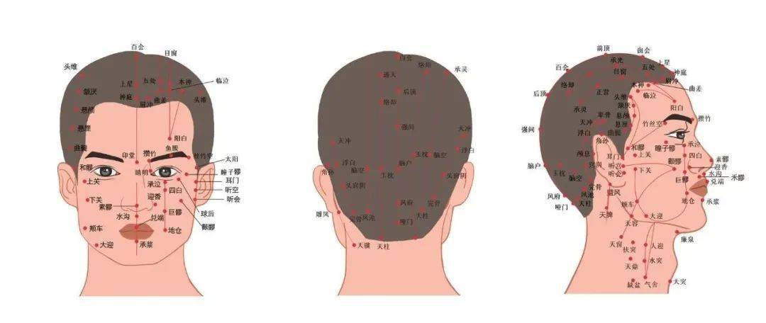 面部常用美容穴位名稱與作用