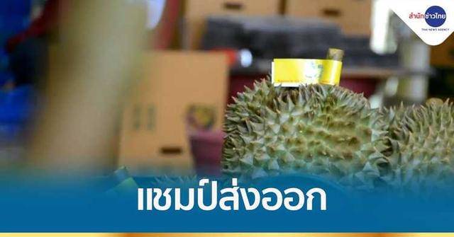 榴莲排行_厉害了!泰国榴莲出口地位排名最高,10年无人撼动!