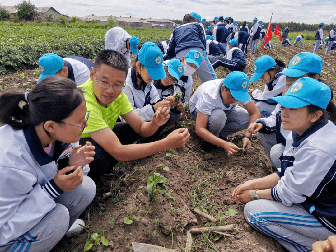 拳拳育人心——宝清县教体局精心打造农耕文化实践教育基地