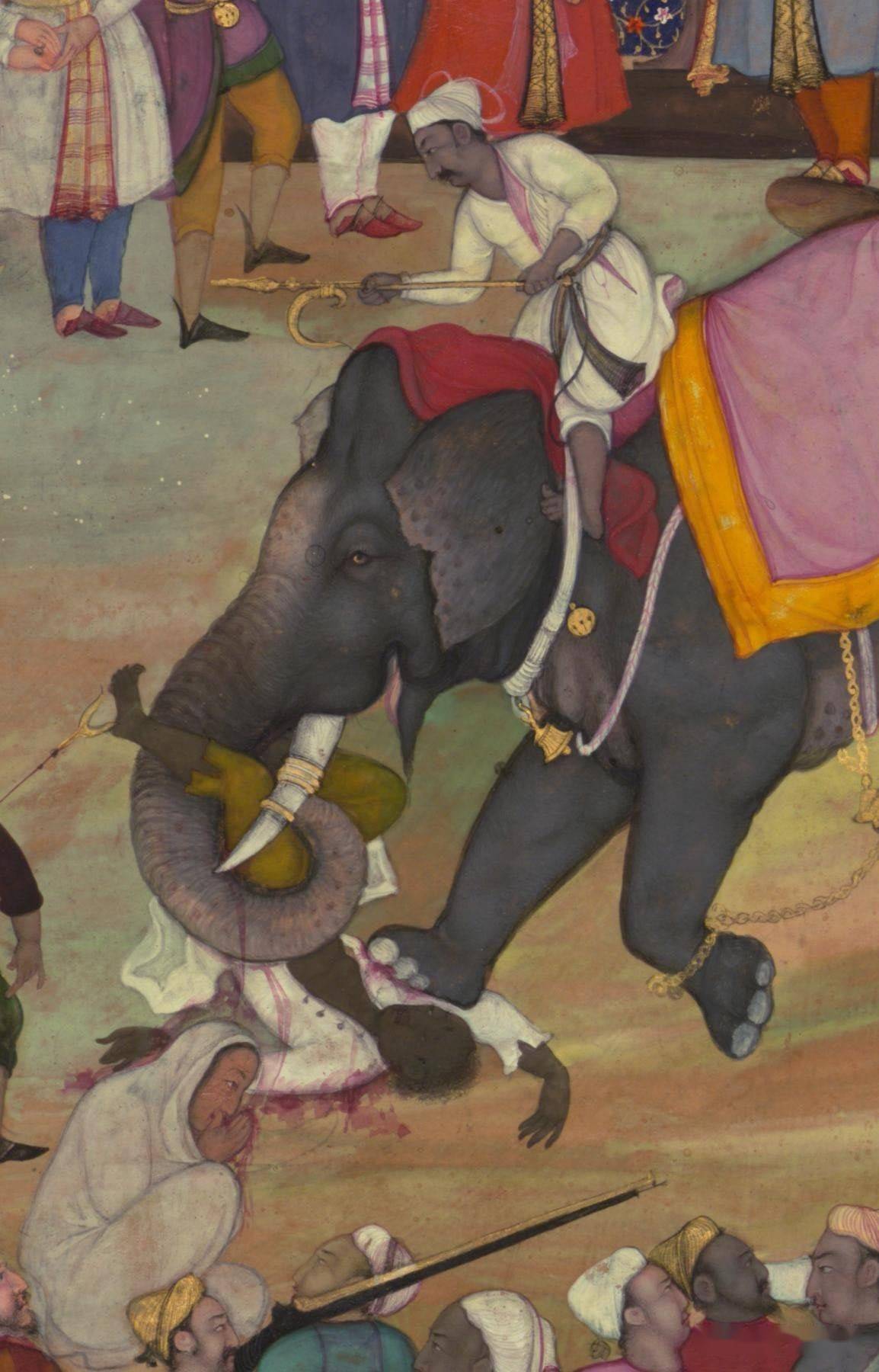 大象踩一脚有多大力气 人被大象踩一脚会死吗