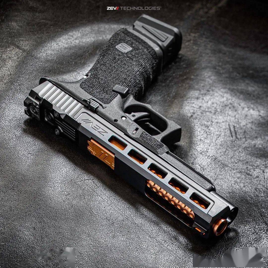 【zev tech美图欣赏】人靠衣装 枪靠换壳