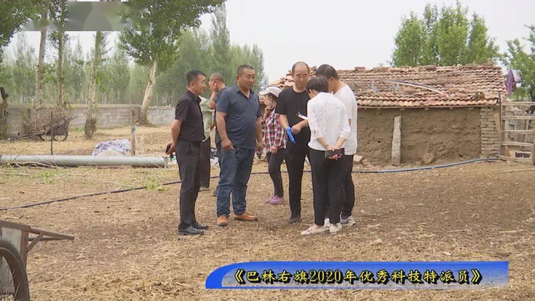 【专栏】科技特派员斯钦毕力格