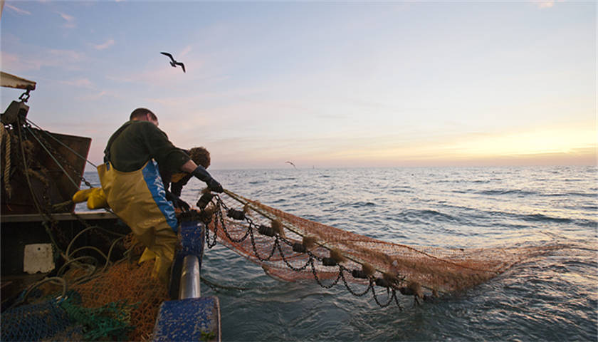 中国正式实施公海自主休渔能否成长效举措尚待评估