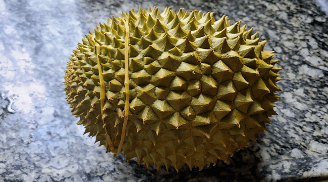 91f11091b30148ac8a1107947ed13e30.png