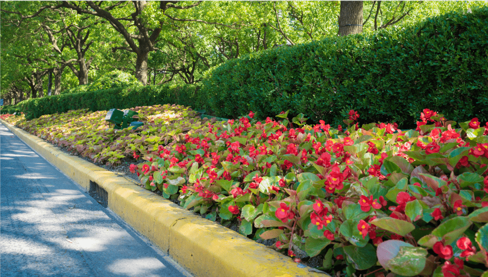 探索7处主题景点8条市级景观花道5万㎡花坛花境扮靓浦东