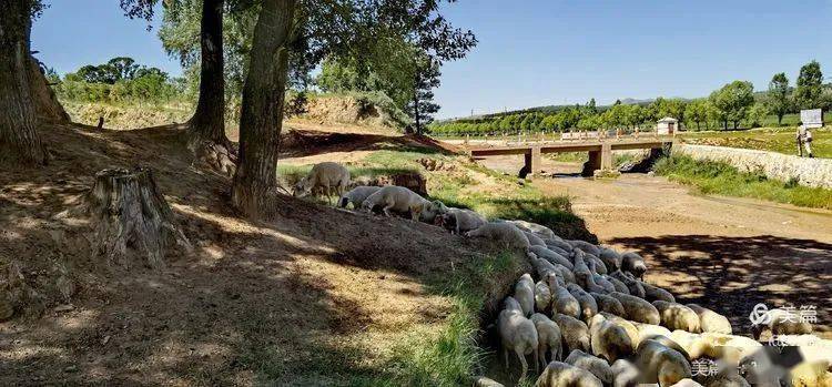 边塞风光杨千河乡