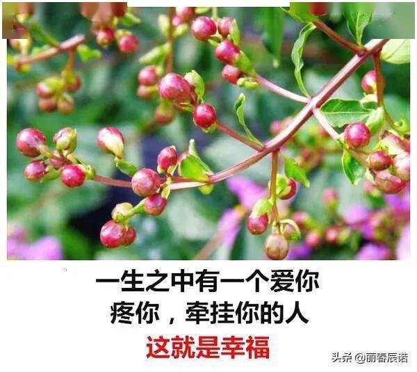 藏头小诗/有人牵挂,就是幸福