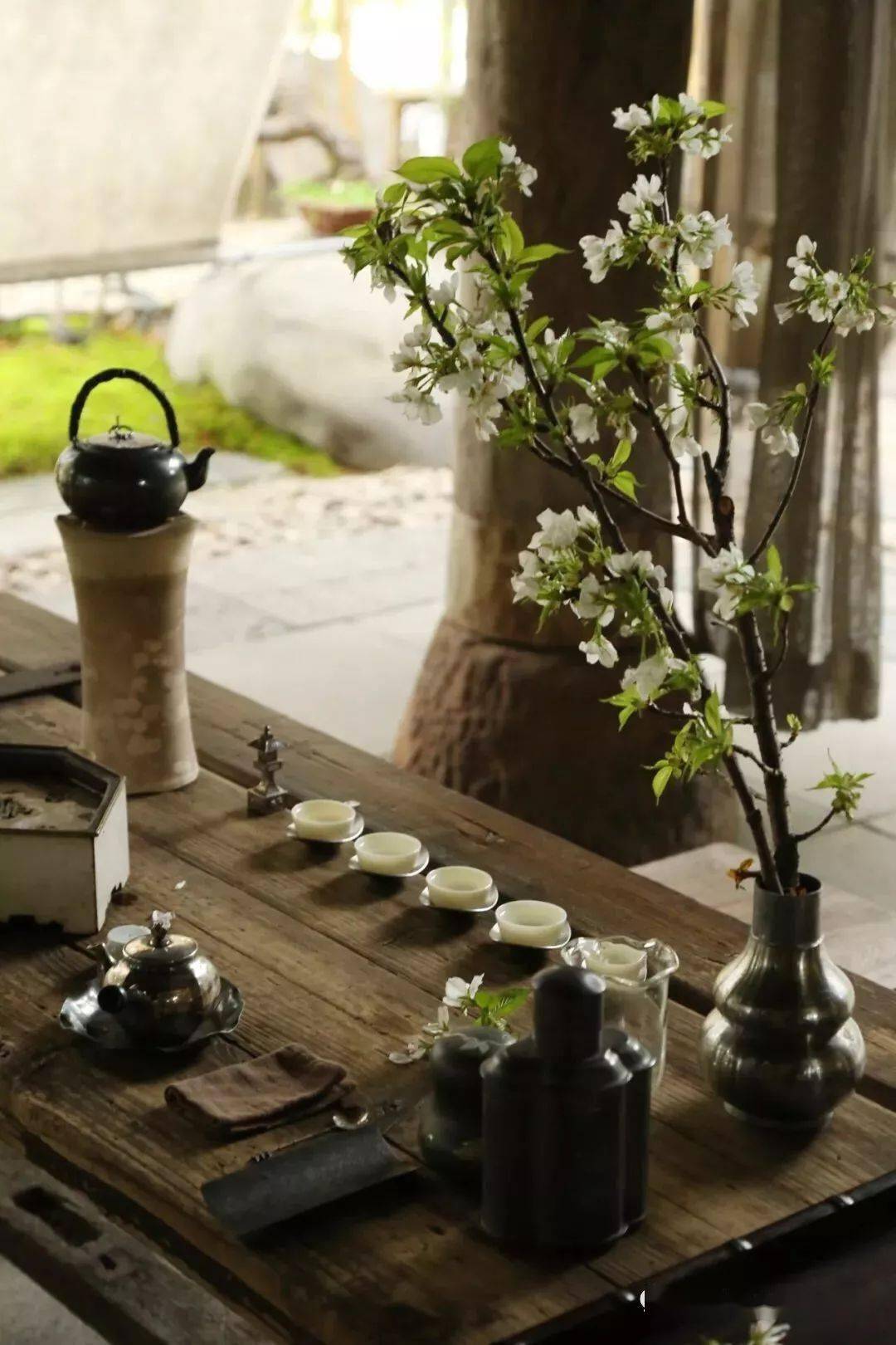 我想有个小院子,喝茶读书日月长