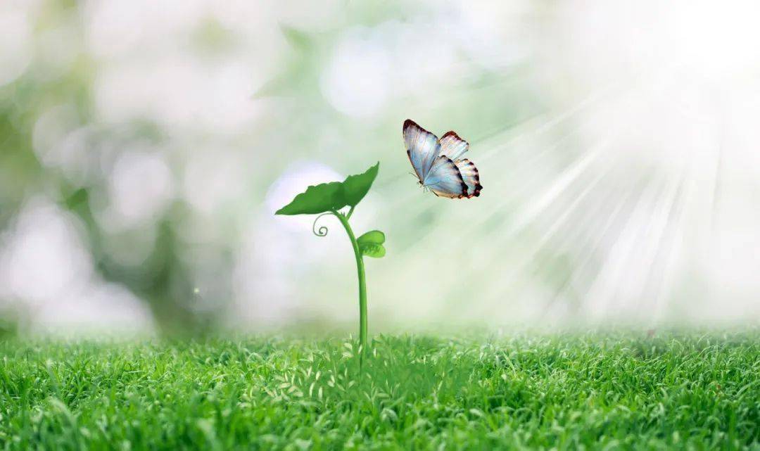 4.【不间断净食49天】日拱一卒无有尽,功不唐捐终入海