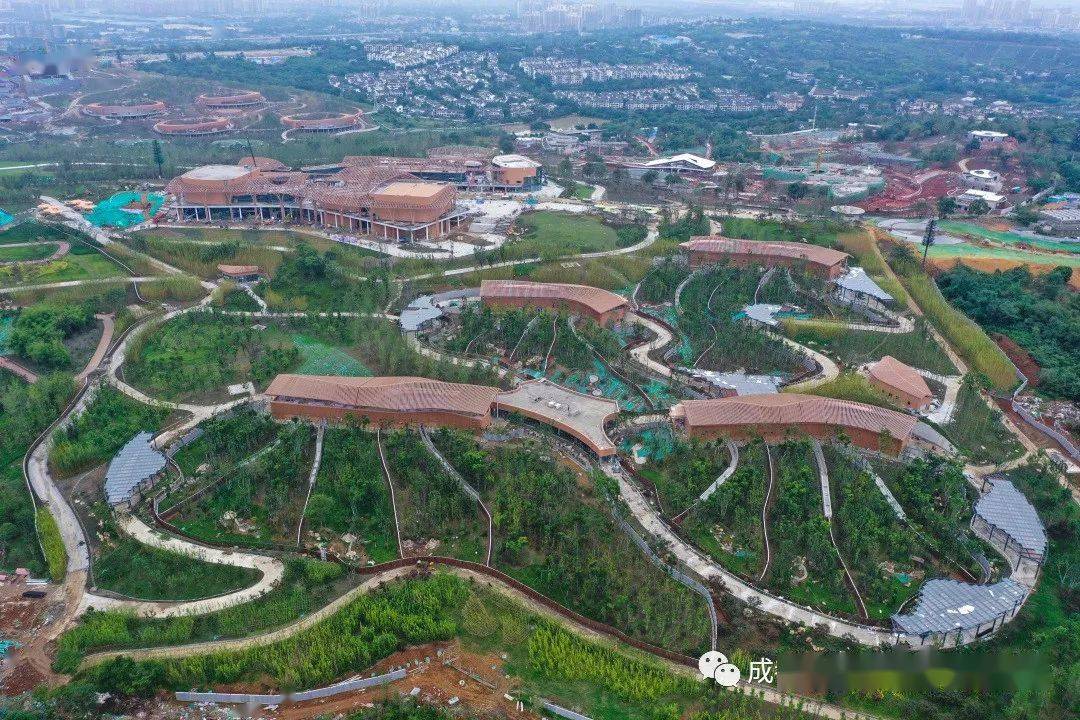 成都熊猫基地扩建~你是不是还没收到风声?