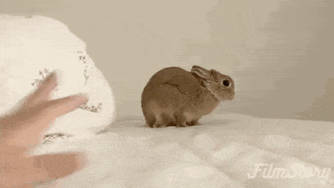 28a607a5681242a3b04e314fba8aaae5.gif
