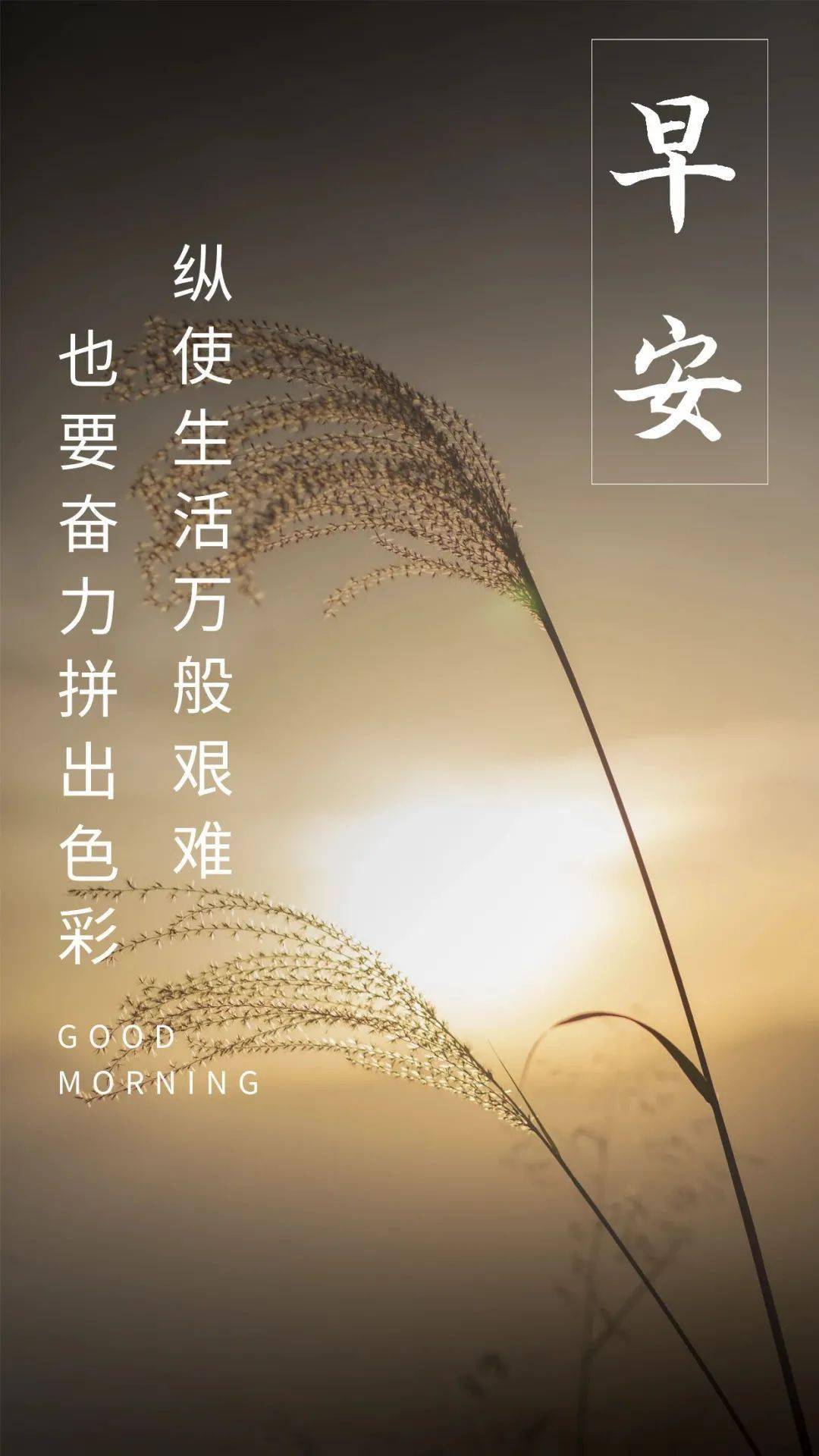 梦到和远方的朋友相聚梦见远方的朋友来做客 自媒体热点