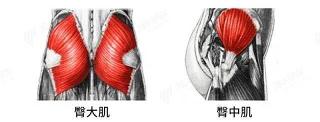 曲线|46岁李玟“臀照”被疯传：女人最极致的性感，不是脸和胸，而是.......