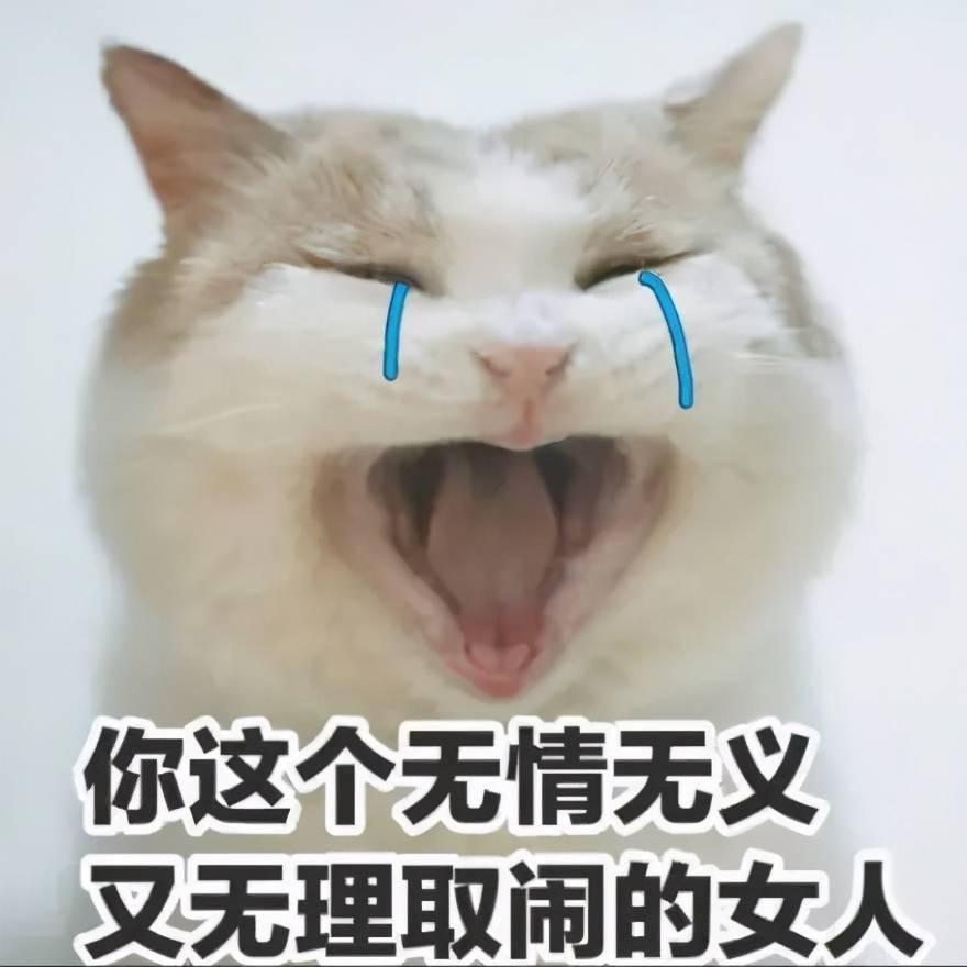 1850793474644d708f6b64f1c19846e5.jpeg
