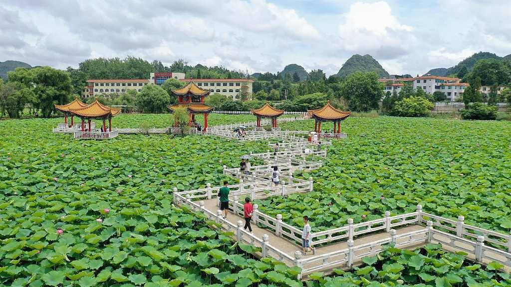 安龙招堤国家湿地公园包括招堤在内的荷花池,十里河塘至绿海子,以及