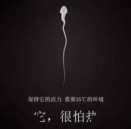 男人如何保養自己的小弟弟