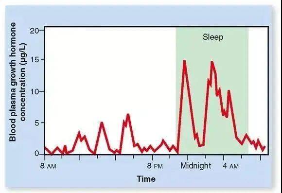如下图所示,生长激素(gh)呈脉冲式分泌,随机检测时血gh很低,夜间才