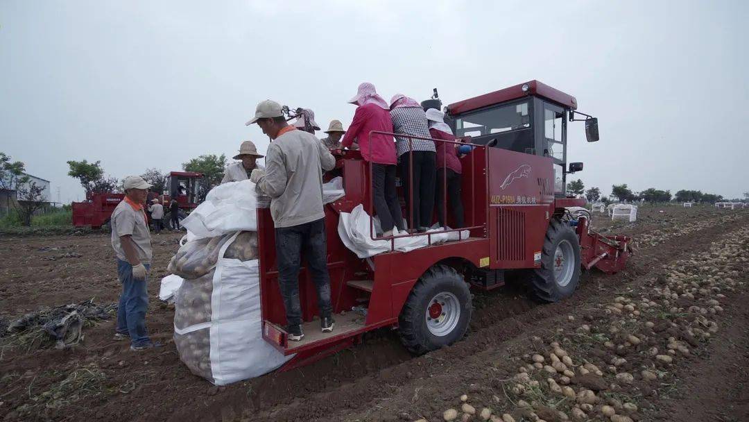 勇猛4uzp160a马铃薯捡拾机宝鸡实验取得圆满成功
