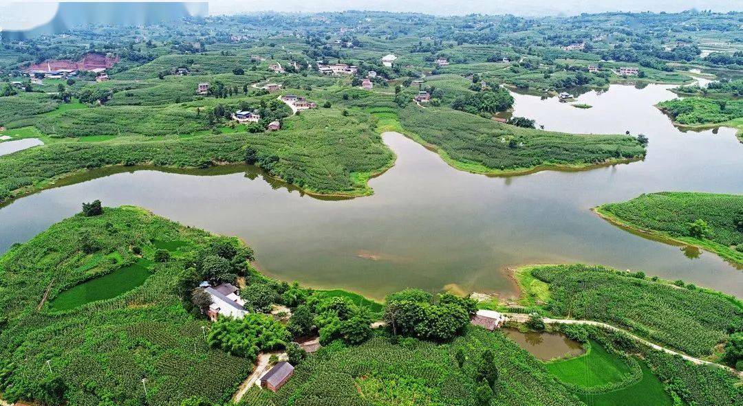 七月涪陵乡村美如画