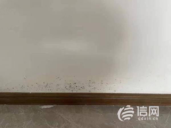 墙壁渗水发霉用什么贴墙 163c15ba00f64f44bbe095e0221d96fd.jpeg