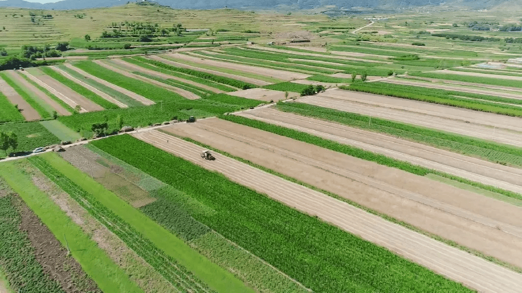 "飞阅"华亭,带你看陇上麦田新"丰"景