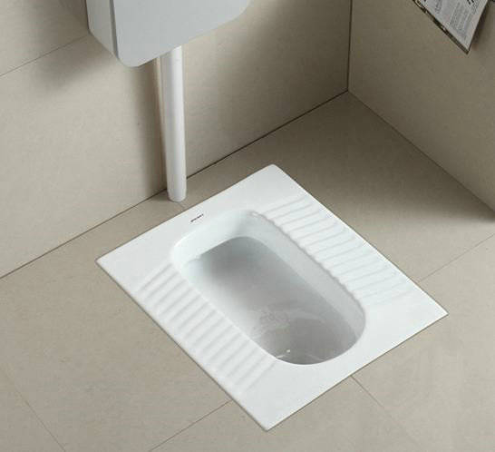 是一种|排宿便等于排毒？其实宿便仅是一种生理现象