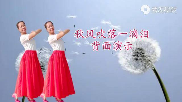 简单易学广场舞秋风吹落一滴泪背面演示